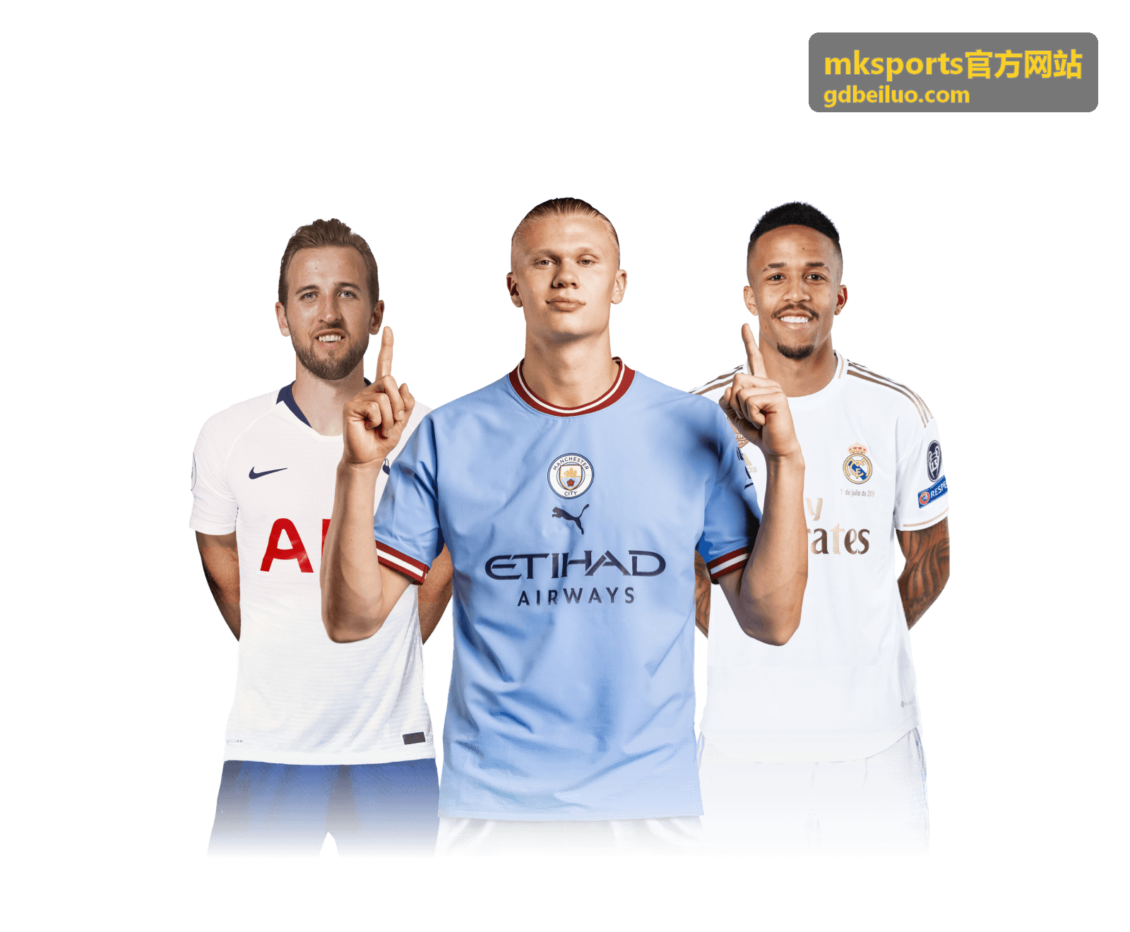 mksports官方网站数据分析与战绩走势展示