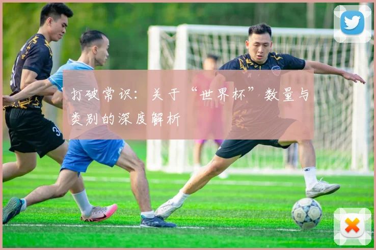 打破常识：关于“世界杯”数量与类别的深度解析