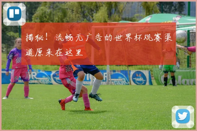 揭秘！流畅无广告的世界杯观赛渠道原来在这里