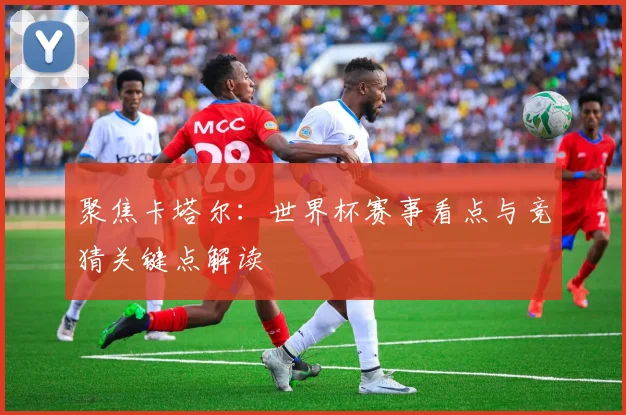 聚焦卡塔尔：世界杯赛事看点与竞猜关键点解读