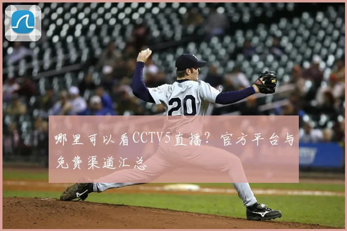 哪里可以看CCTV5直播？官方平台与免费渠道汇总